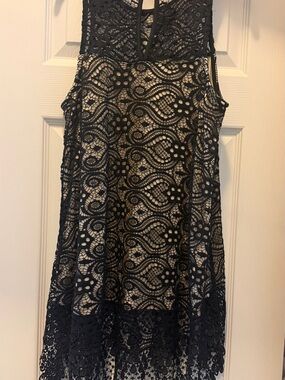 Altar'd State Black Lace A-Line Skirt with Nude Underlay